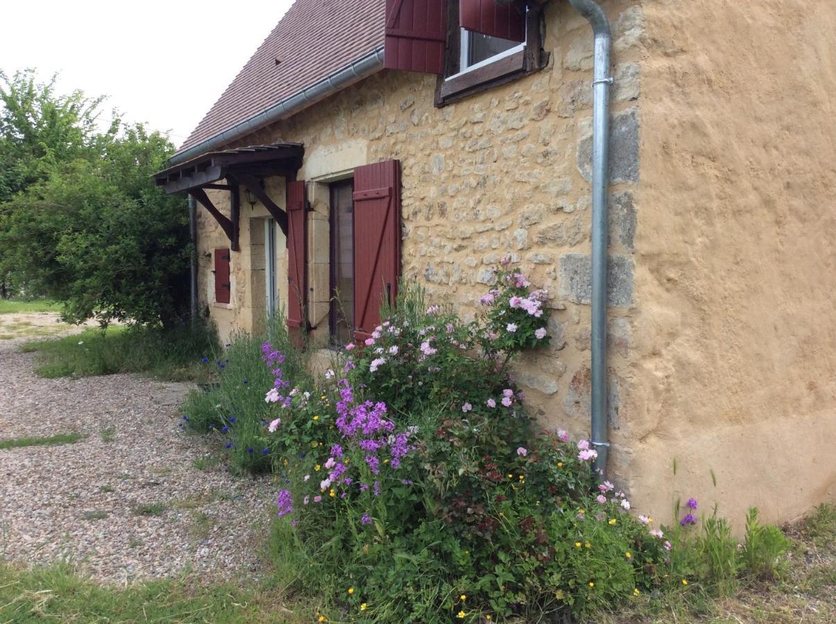 Le Moulin De Gateau Hotel Saint-Pierre-les-Etieux Ngoại thất bức ảnh